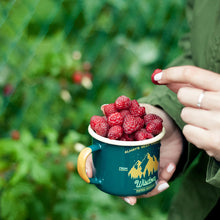 Lade das Bild in den Galerie-Viewer, WISDOM Serie | Emaillebecher 320ml | Farbe: blaugrün